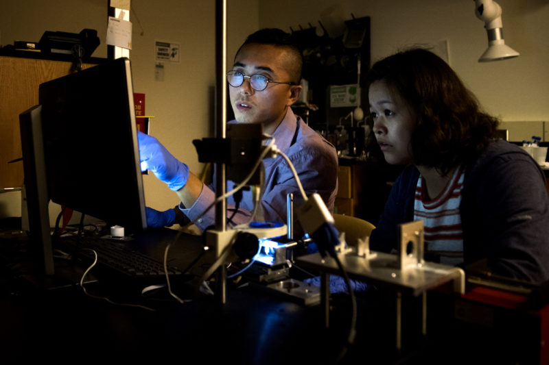 Engineering A Solution To Dirty Water