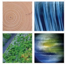 Harvard University – Center for the Environment – Environmental Fellows Postdoctoral Program