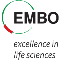 European Molecular Biology Association (EMBO) – Long-Term Postdoctoral Fellowship
