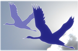 Kobe College Corporation/Japan Education Exchange – Graduate Fellowship Program