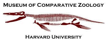 Harvard University Museum of Comparative Zoology (MCZ) – Mayer Travel Grant