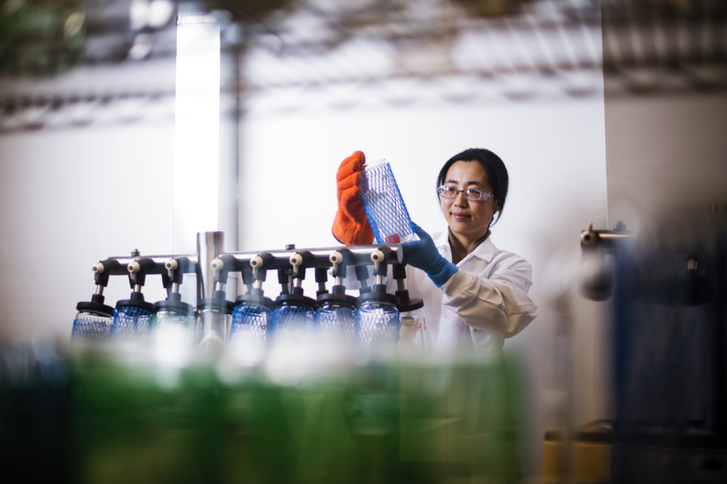 Structure Strategic PhD Programs