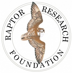 Raptor Research Foundation – The Dean Amadon Grant