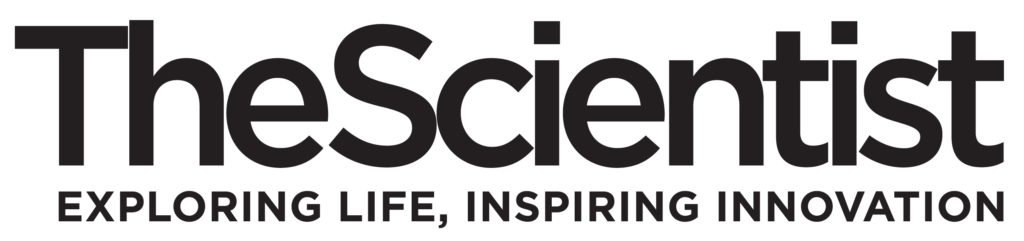 The Scientist – Internship
