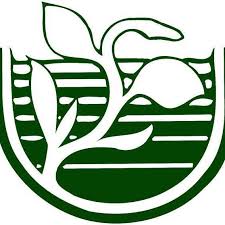 Phillip M. Fields Scholarship Award