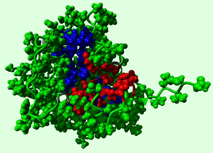 Identification of Chemical Probes and Inhibitors Targeting Novel Sites on SARS-CoV-2 Proteins