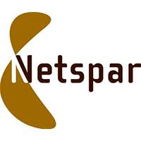 Network for Studies on Pensions, Aging and Retirement (Netspar) Comparative Research Grant
