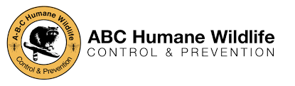 ABC Humane Wildlife Women In STEM Academic Scholarship