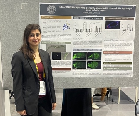 “LEADERs Completely Changed My Perspective on Research”: PhD Student Maria Khalid’s Transformative Experience
