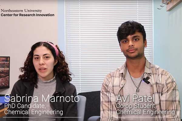 Measuring Microparticles With Precision