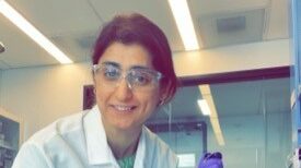 What I Wish I Knew: Current and Past Northeastern PhD Students Share Advice for First-Year PhDs